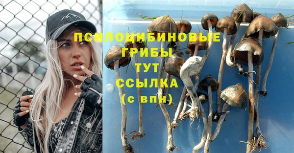 хмурый Новодвинск