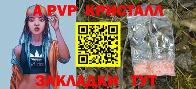 ешки Кингисепп