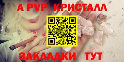 ешки Кингисепп