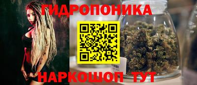 ешки Кингисепп