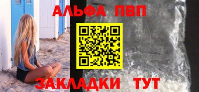 ешки Кингисепп