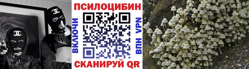 Псилоцибиновые грибы ЛСД  Петрозаводск 