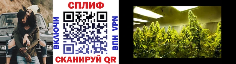 Бошки Шишки THC 21%  где купить наркоту  Петрозаводск 